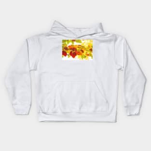 Colourful leaves on a white background Kids Hoodie